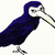 hayleythehalo :iconhayleythehalo: