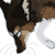 :iconhazardousfear: