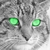 Heavee :iconheavee: