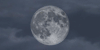 heavens-net's avatar