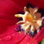 heavenscall :iconheavenscall: