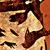 Hecthor0029 :iconhecthor0029: