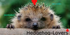Hedgehog-Lovers's avatar