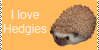 :iconhedgehogs-club: