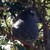 helmysavit :iconhelmysavit: