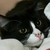 HemaBemaPickle :iconhemabemapickle:
