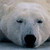 henry1025 :iconhenry1025: