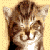 DeviantArt profile picture for @herb on DeviantArt