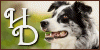 Herding-Dogs's avatar