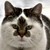 HeroicMischiefMaker :iconheroicmischiefmaker: