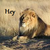 :iconheylionplz: