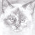 HiddenTrack1231 :iconhiddentrack1231: