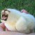 hieroglyphic-lion :iconhieroglyphic-lion: