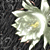 DeviantArt profile picture for @hihi123 on DeviantArt