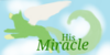 His-Miracle's avatar