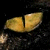 DeviantArt profile picture for @hit on DeviantArt