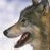 hmmmm1797 :iconhmmmm1797: