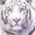 DeviantArt profile picture for @Hobit on DeviantArt