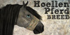 Hoellenpferd-Breed's avatar
