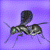 DeviantArt profile picture for @holden on DeviantArt