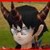 holyking160 :iconholyking160:
