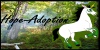 :iconhope-adoption: