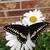 Hope-Maria :iconhope-maria: