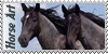 Horse--ART's avatar