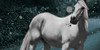 Horse-manips's avatar