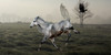 Horse-Photomanips's avatar