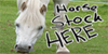 Horse-Stock-Here's avatar