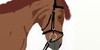HorseLoverClub's avatar