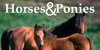 HorsePonyLovers's avatar
