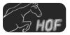Horses-Over-fences's avatar