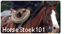 horsestock101's avatar