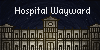 Hospital-Wayward's avatar