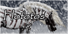 Hototos's avatar