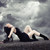 hppygrl345 :iconhppygrl345: