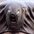 Hulk91 :iconhulk91:
