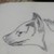 Hyena-Havoc :iconhyena-havoc: