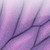I-Mago :iconi-mago: