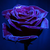 IceDemonPrincess18 :iconicedemonprincess18:
