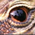 icedheartgd :iconicedheartgd: