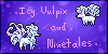 Icy-Vulpix-Ninetails's avatar