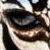 DeviantArt profile picture for @identification on DeviantArt