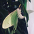 :iconigu-innika: