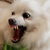 iiOuterspaceii :iconiiouterspaceii: