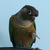 iiTrains12 :iconiitrains12: