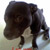 IlonaLaura :iconilonalaura: