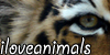 ILoveAnimals's avatar